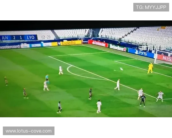 星空足球官网版登录入口的使用流程详解