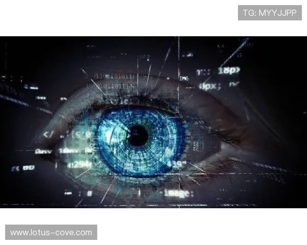 星空体育注册登录入口：安全保障措施与账号保护技巧