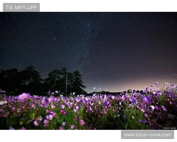 星空体育来切：打造夜空下的运动盛宴，享受星光与运动完美融合的时刻