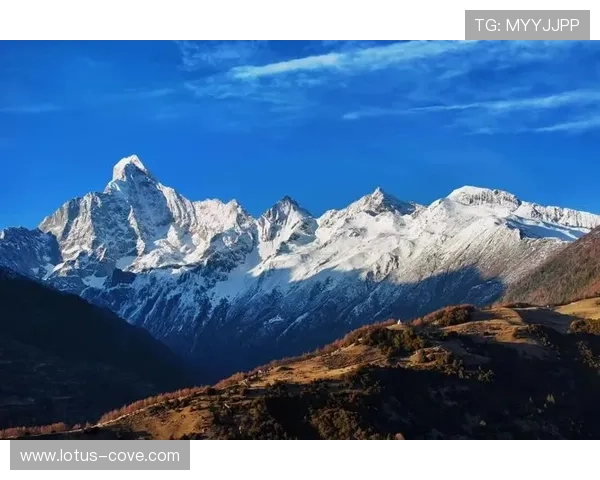 星空入口官方网站：便捷访问星空入口平台的官方入口指南