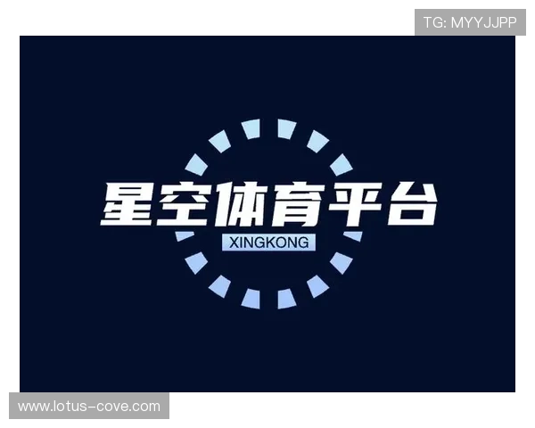 全面解析星空体育平台的安全体系确保用户信息和资金安全