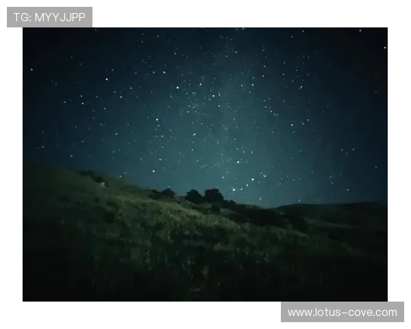 利用星空官方登录入口实现快速安全的星空资源访问