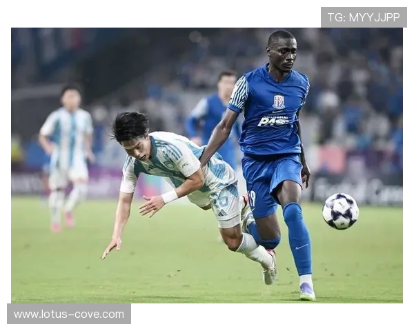 星空体育全站下载：操作简单安全稳定的体育视频下载指南