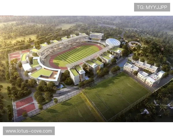 星空体育网址登录线路多样化发展趋势及未来展望