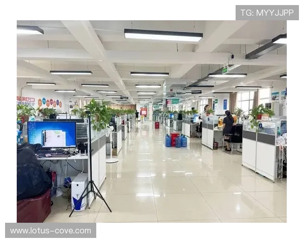 星空娱乐客服为新手玩家提供详细指导助你轻松开启娱乐之旅
