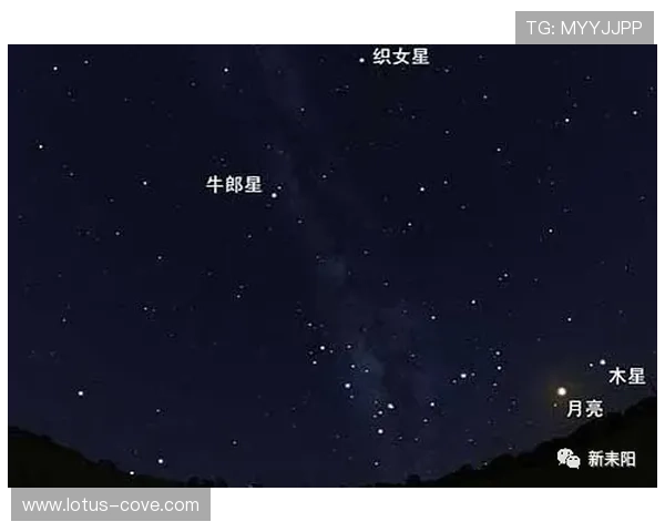 星空娱乐登录体验优化建议，为用户提供更快捷便利的登录与使用体验方案