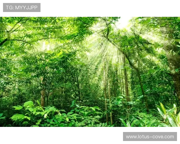 星空登录娱乐平台注重游戏公平性,营造健康绿色的游戏环境,确保每位玩家都能公平竞技 星空登录娱乐平台注重游戏公平性,营造健康绿色的游戏环境,确保每位玩家都能公平竞技